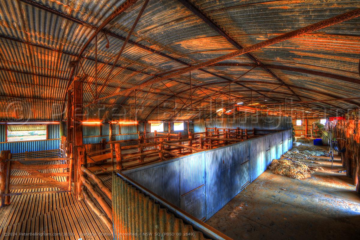Peter Bellingham Photography Bucklow Station - Woolshed - NSW SQ (PB5D 00 2649)